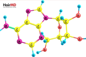 Is Adenosine triphosphate for hair loss effective?