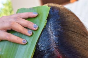 aloe vera for Healthy Hair